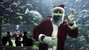 Santa buzo del Aquarium de Veracruz: estos son los únicos días para verlo