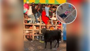 Hombre sufre cornada en el recto durante un evento taurino, terminó al borde de perder la vida