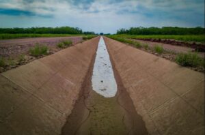 Tecnificación de riego en Morelos recuperará 55 millones de metros cúbicos de agua