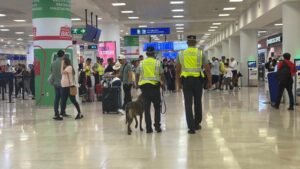 Binomio canino detecta más de 12 kilos de aparente cocaína en el Aeropuerto de Cancún