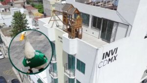 El Pato Merlín cambia las calles del Mundial por una casa nueva