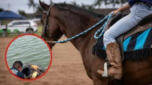 Desaparece jinete tras caer al agua en Huichapan; caballo fallece